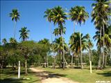 Parque Nacional Tres Hermanos - AÑASCO